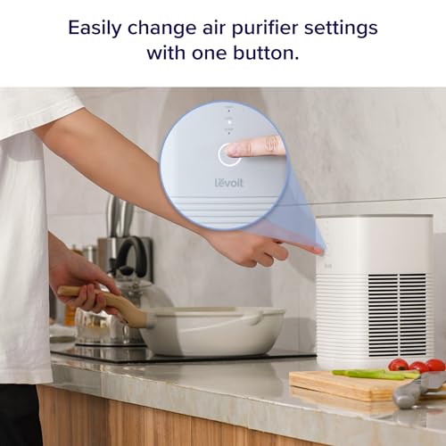 Air Purifier for Bedroom Home, 3-in-1 Filter Cleaner with Fragrance Sponge for Better Sleep, Portable S3072