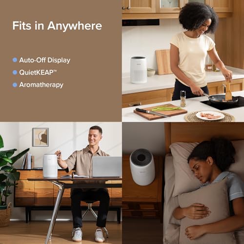 Air Purifier for Bedroom Home, 3-in-1 Filter Cleaner with Fragrance Sponge for Better Sleep, Portable S3072