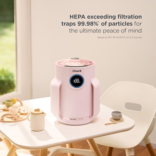 Air Purifier for Home Large Room with HEPA Filter, Covers 650 Sq. Ft L965