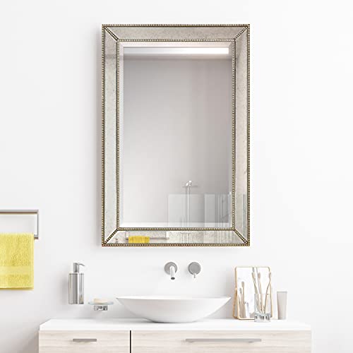 Antique Beveled Wall Mirror, 24" x 54", Ready to Hang H690609