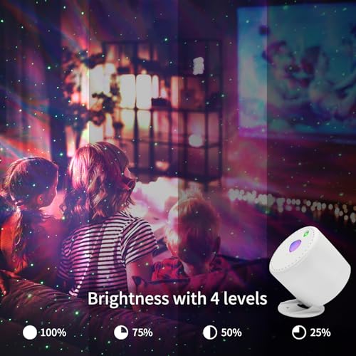 Laser Christmas Projector Lights Outdoor, Red and Green Stars, IP65 Waterproof H73494