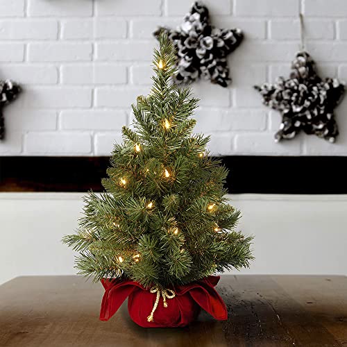 24 in Pre-Lit Mini Artificial Christmas Tree with 35 Clear Lights Z659685