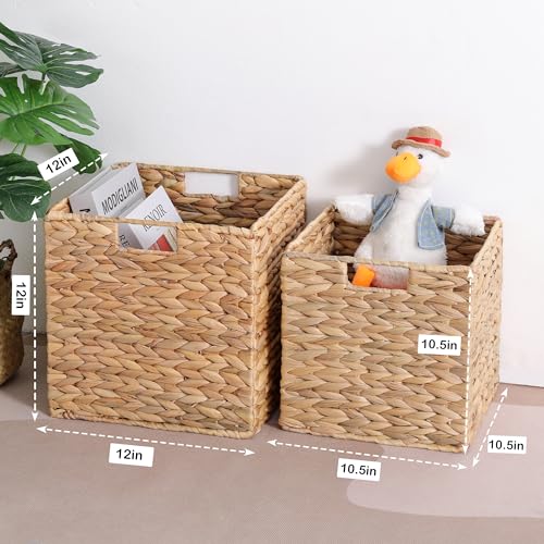 Water Hyacinth Storage Baskets for Cube Storage, Set of 3 V389597
