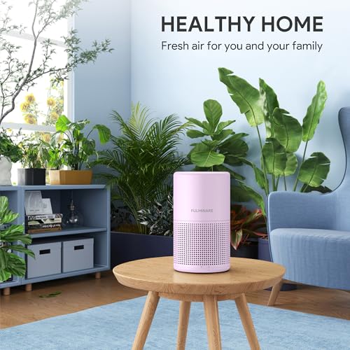 H13 True HEPA Air Purifier for Bedroom, Quiet with Night Light R447898