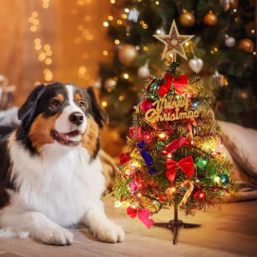 20 Inch Christmas Tabletop Tree with LED Lights and Star Topper G349566