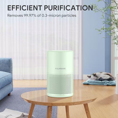 H13 True HEPA Air Purifier for Bedroom, Quiet with Night Light R447898