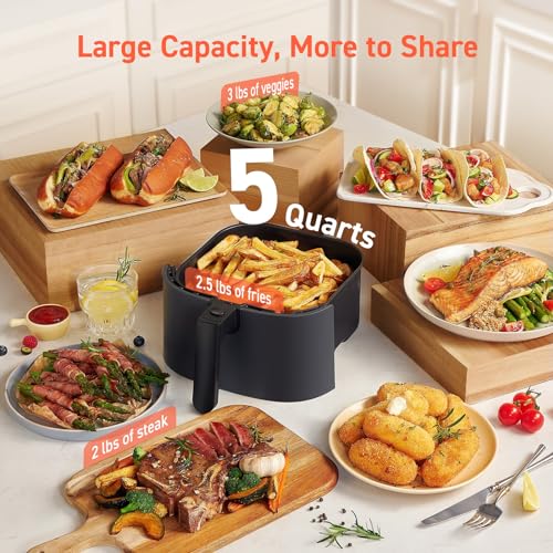 Air Fryer 9-in-1, Compact 5QT, Nonstick Dishwasher-Safe Basket, Gray R3973