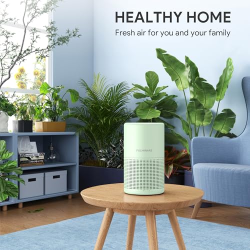 H13 True HEPA Air Purifier for Bedroom, Quiet with Night Light R447898