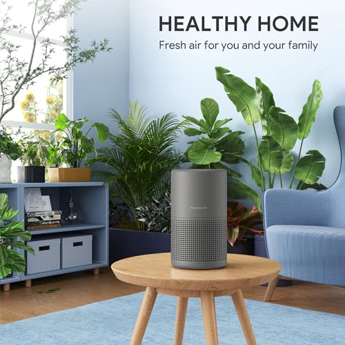 H13 True HEPA Air Purifier for Bedroom, Quiet with Night Light R447898
