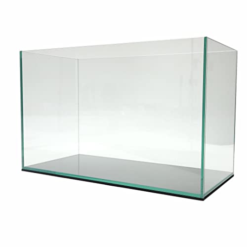 Lifegard Aquatics 5 Gallon Rimless Clear Glass Aquarium 5mm Thick Glass