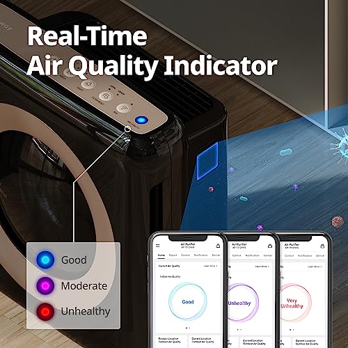 HEPA Air Purifier with Air Quality Monitoring and Auto Mode H968730
