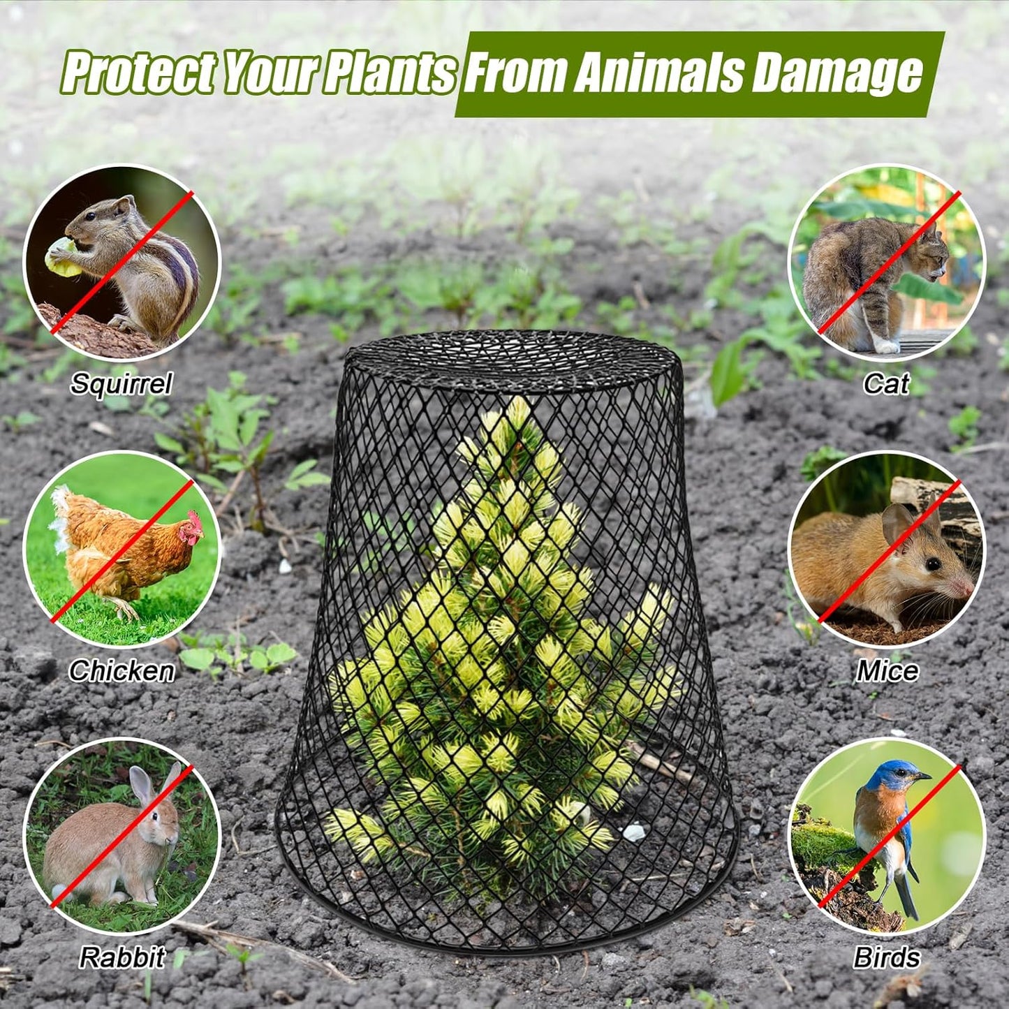 Wire Cloche Plant Covers for Garden Protection, 12 Pack V40814