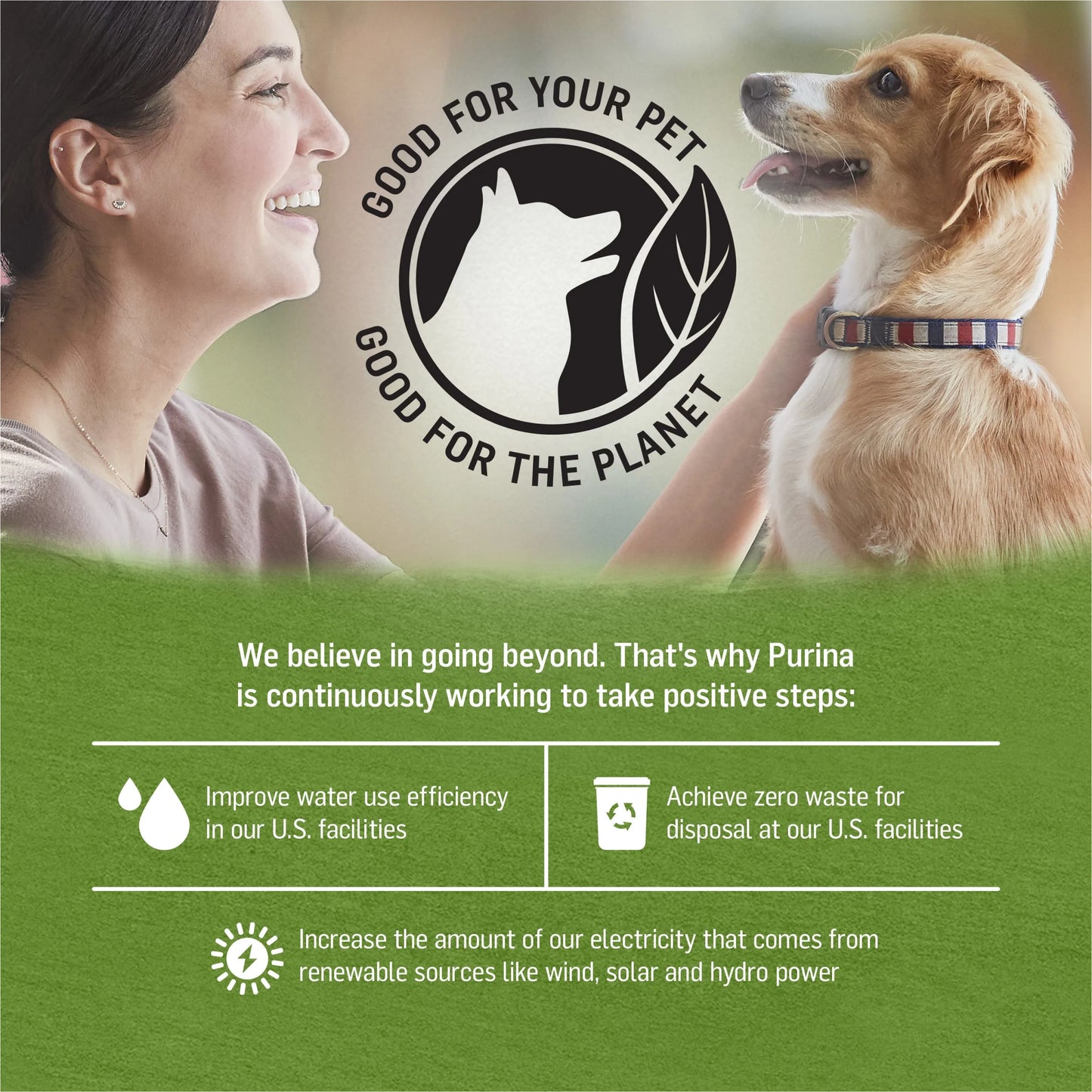 Wet Dog Food Chicken Lamb Spinach, 13 oz Cans (12 Pack) R17836