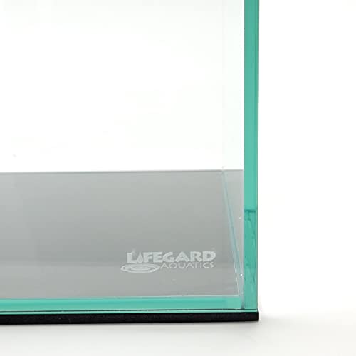 5 Gallon Rimless Clear Glass Aquarium I1870