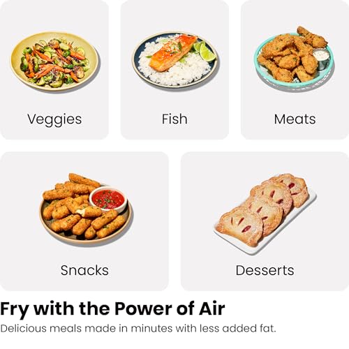 6 Quart Dual Basket Air Fryer with Digital Touchscreen D53063