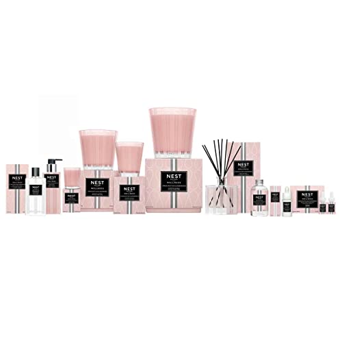 Smart Home Fragrance Diffuser Set with Two Scents H484