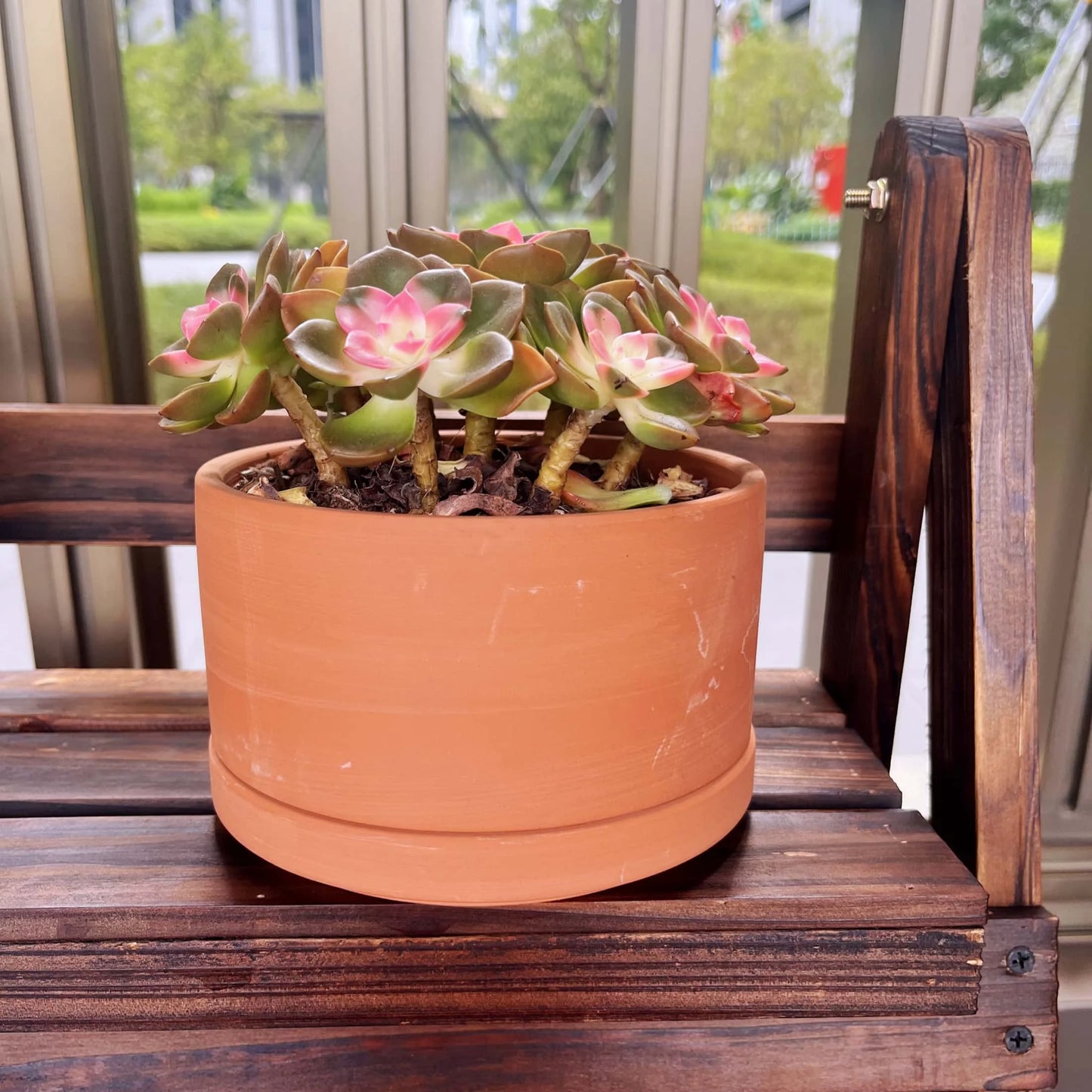 Terracotta Flower Pots with Drainage Holes, 3 Count W9403
