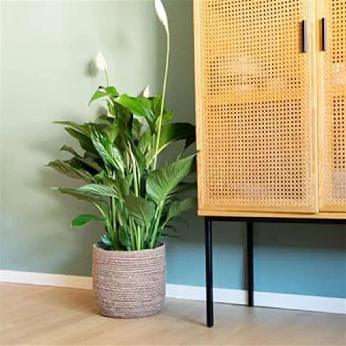 Woven Seagrass Plant Pot with Plastic Insert H39480