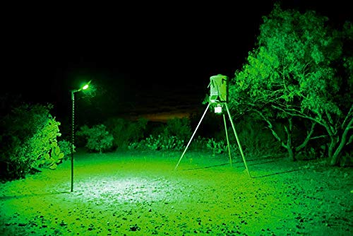 Motion Activated Feeder Light with Remote Control I7001