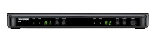 Wireless Microphone System with Dual Handheld Mics T644
