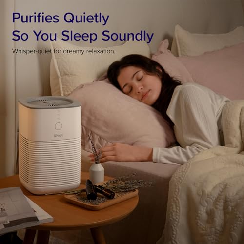 Air Purifier for Bedroom Home, 3-in-1 Filter Cleaner with Fragrance Sponge for Better Sleep, Portable S3072