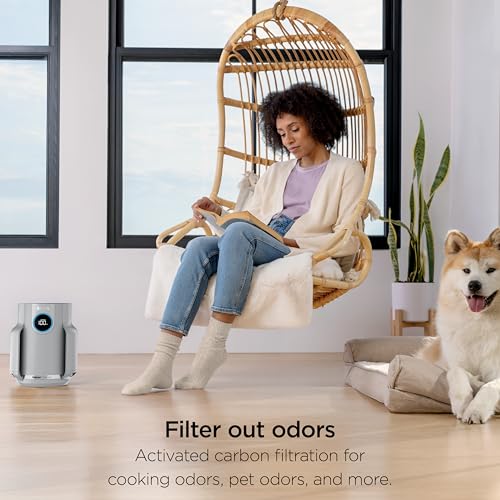 Air Purifier for Home Large Room with HEPA Filter, Covers 650 Sq. Ft L965