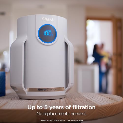Air Purifier for Home Large Room with HEPA Filter, Covers 650 Sq. Ft L965