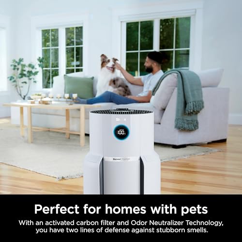 Air Purifier for Home Large Room with HEPA Filter, Covers 650 Sq. Ft L965