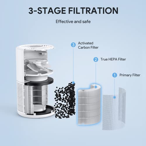 H13 True HEPA Air Purifier for Bedroom, Quiet with Night Light R447898