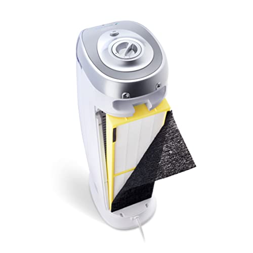 Air Purifier with HEPA Filter for Large Rooms, Removes Smoke, Pet Dander, Pollen, and Odors E469