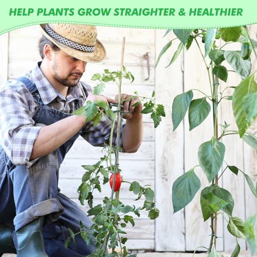 Plant Support Stakes for Flowers, 24 Inch, 24 Pack U110