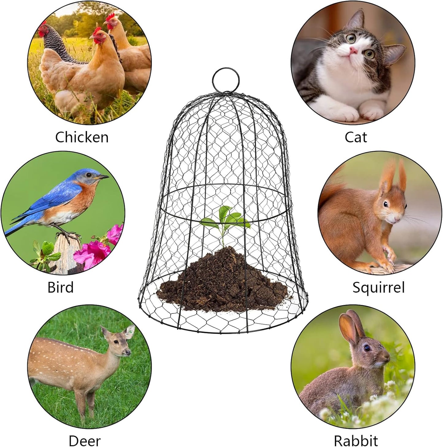 Garden Chicken Wire Cloche, 16x13 Inches Black Dome Plant Protector Cover Z132