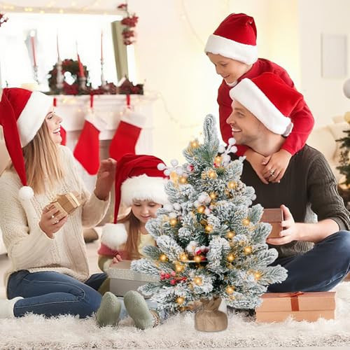 Flocked Artificial Mini Christmas Tree with Lights, Tabletop Decor T336
