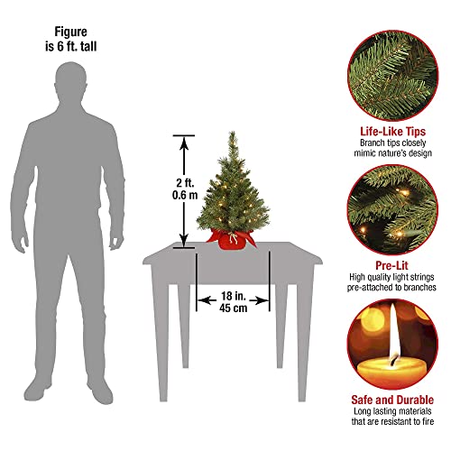 24 in Pre-Lit Mini Artificial Christmas Tree with 35 Clear Lights Z659685