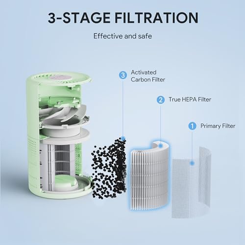 H13 True HEPA Air Purifier for Bedroom, Quiet with Night Light R447898