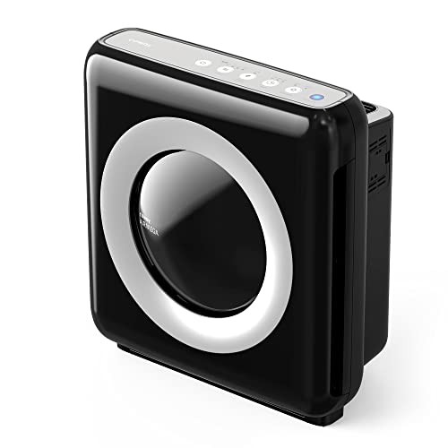 HEPA Air Purifier with Air Quality Monitoring and Auto Mode H968730