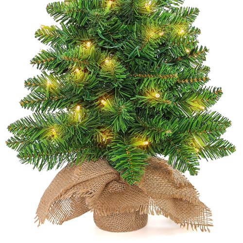 2ft Pre Lit Artificial Mini Christmas Tree with 50 LED Warm Lights L2578