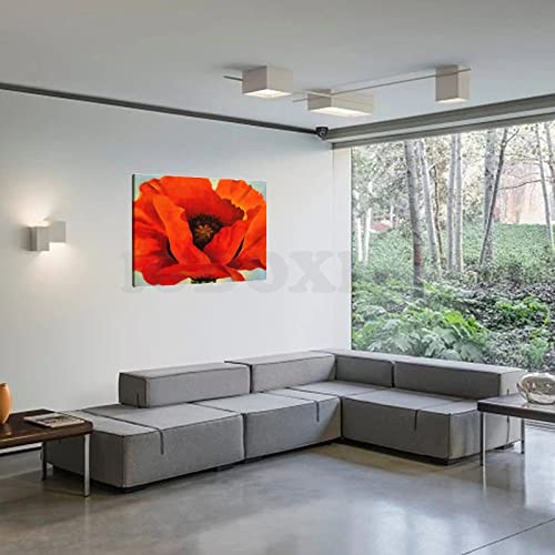 Red Flowers Aesthetic Poster Canvas Wall Art for Bedroom Living Room Decor V153