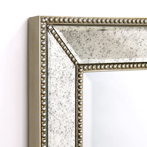 Antique Beveled Wall Mirror, 24" x 54", Ready to Hang H690609