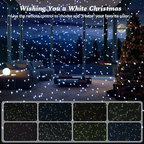 Outdoor Laser Lights Projector with Remote Control for Holiday Decor W676