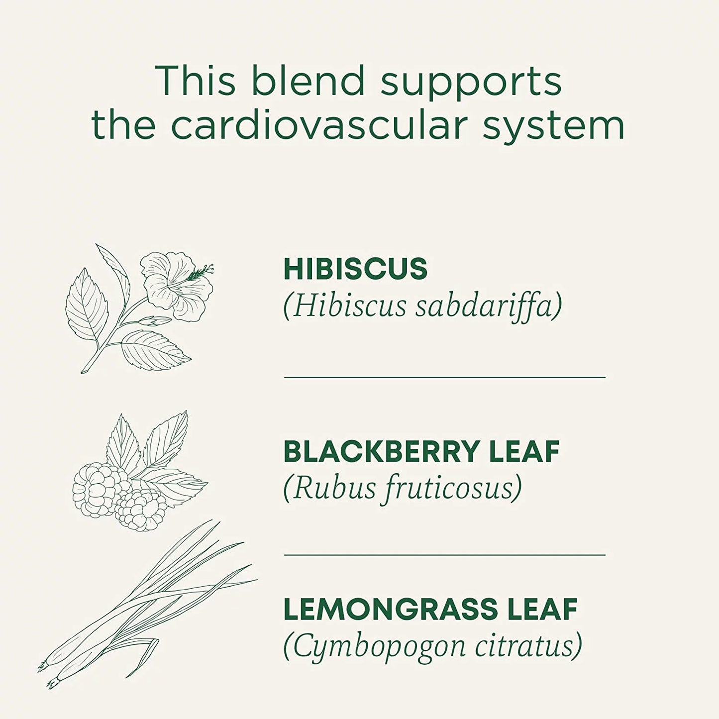 Organic Hibiscus Herbal Tea 16 Tea Bags, Pack of 3 Z983