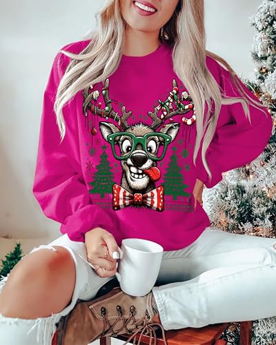 Funny Reindeer Graphic Sweatshirt Oversized Christmas Pullover J1348