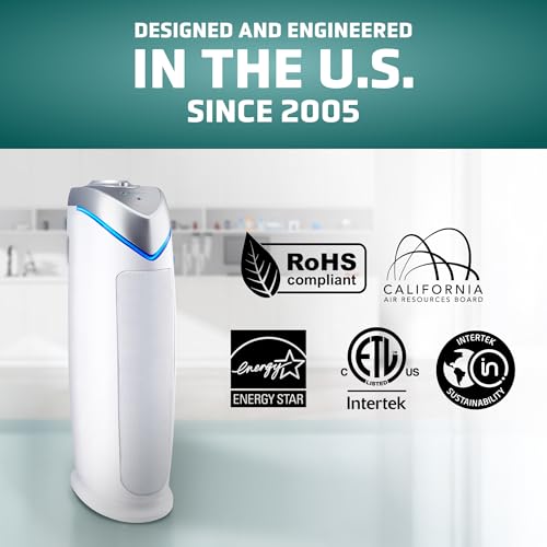 Air Purifier with HEPA Filter for Large Rooms, Removes Smoke, Pet Dander, Pollen, and Odors E469