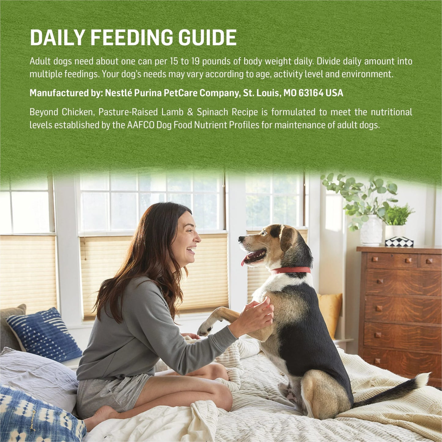 Wet Dog Food Chicken Lamb Spinach, 13 oz Cans (12 Pack) R17836