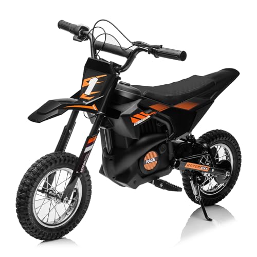 Kids Electric Dirt Bike 250W Off-Road Motorcycle Z852125