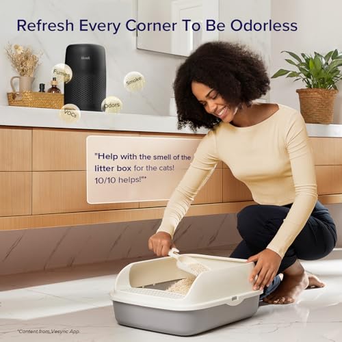 Air Purifier for Bedroom Home, 3-in-1 Filter Cleaner with Fragrance Sponge for Better Sleep, Portable S3072
