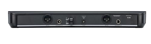 Wireless Microphone System with Dual Handheld Mics T644
