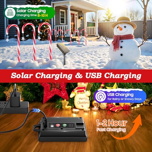 Solar Candy Cane Lights Outdoor Christmas Pathway Lights T5836