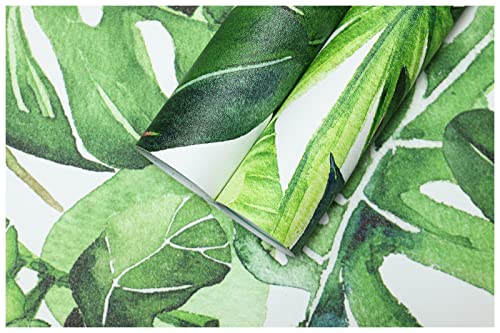 Tropical Palm Leaves Peel and Stick Wallpaper Removable H241043