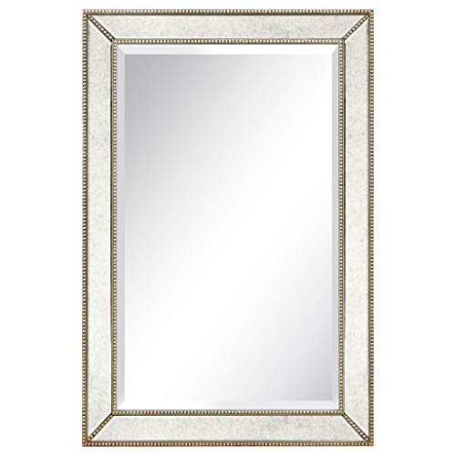 Empire Art Direct Solid Wood Frame Wall, 1"-Beveled Center Antique Mirror for Bathroom, Bedroom, Living Room, Ready to Hang, 24" x 54", Champagne
